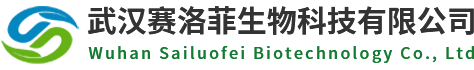 大鼠神经生长因子(NGF)ELISA试剂盒-大鼠ELISA试剂盒-武汉赛洛菲生物官网-酶联免疫试剂盒_白介素IL-6 ELISA试剂盒_TNF试剂盒_vegf_植物ELISA试剂盒